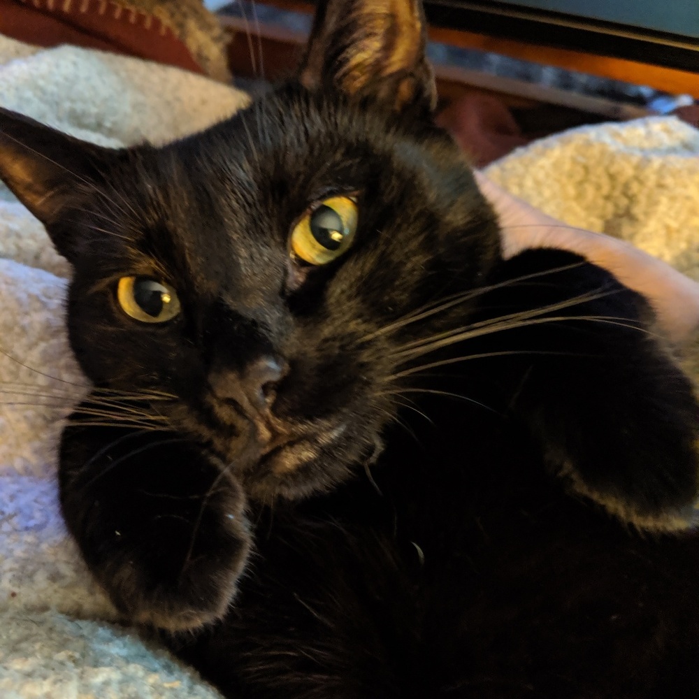 Meet the posher - Picture 3 of 7